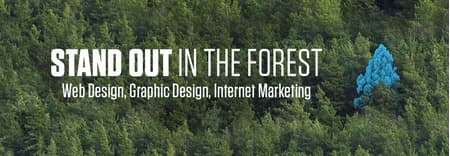 Black Bear Design featured image 1
